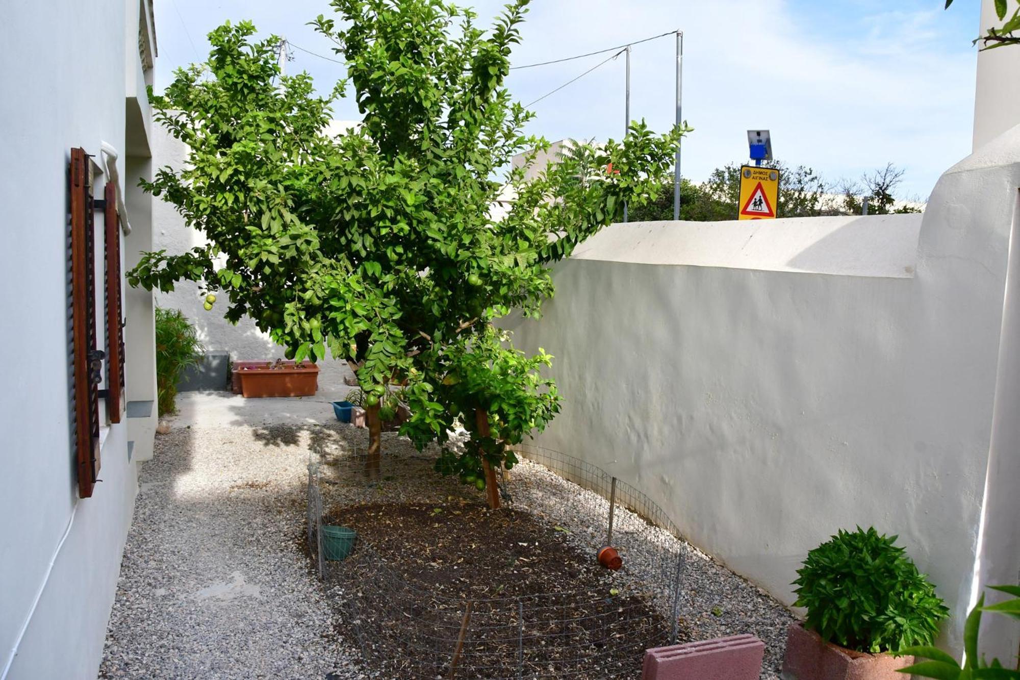 Αρχοντικό Σπίτι Στην Αίγινα Apartment Exterior foto